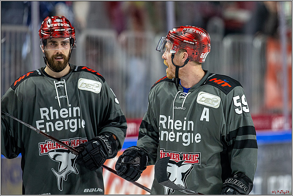DEL; Koelner Haie - Straubing Tigers, 02.12.2018